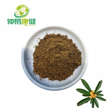 Loquat Leaf Extract Corosolic Acid 10% Powder
