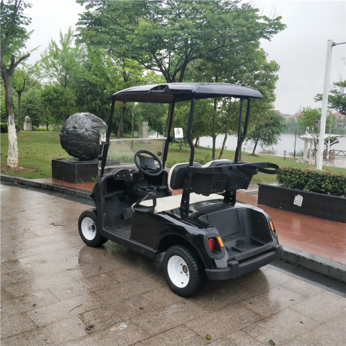 2 person gas power golf carts for sale