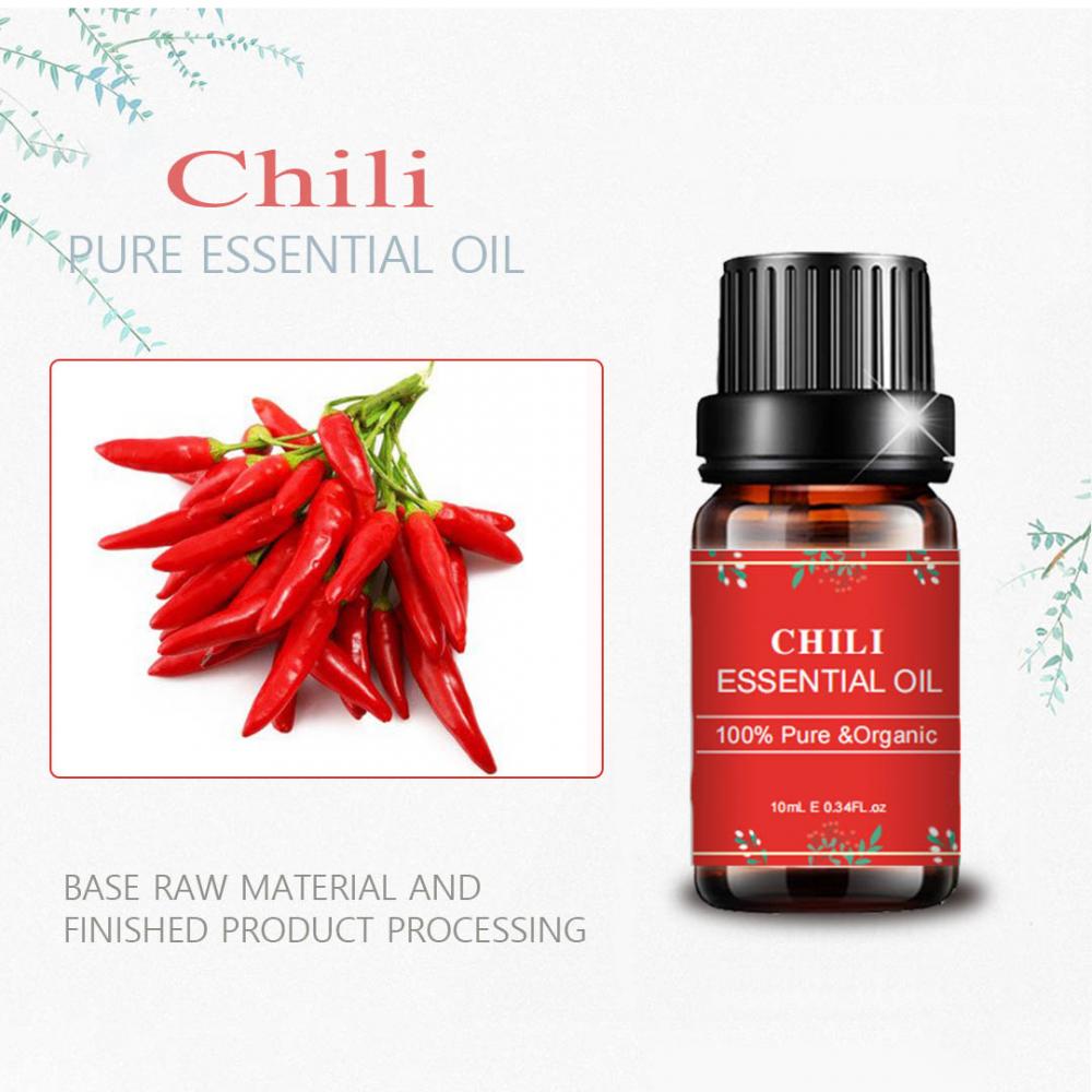 Wholesale Pure Chilli Essential Oil Natural For Diffuser