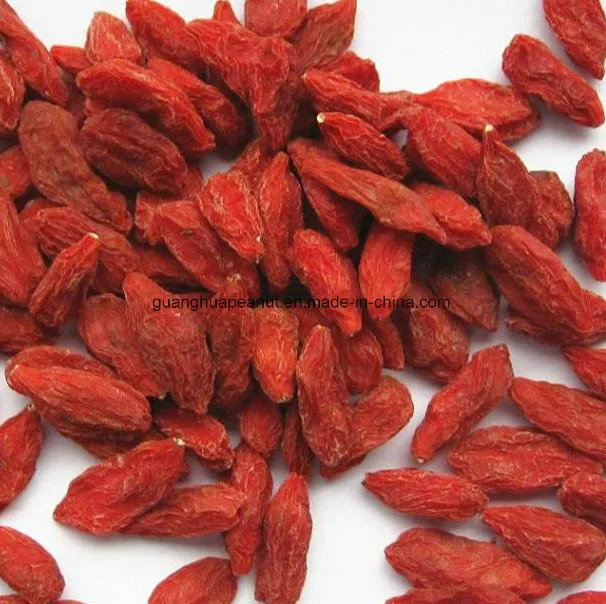 Healthy Hot Sale China Dried Goji Berry