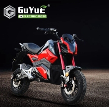 Fat Tire Electric Motorcycle