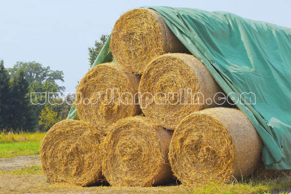 Lona de cubierta de heno Hay Cover Tarp