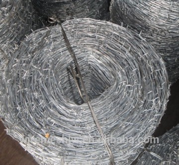 Galvanized Barbed Wire Made From Electro Galvanized Wire