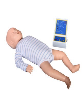 Infant CPR Training Model
