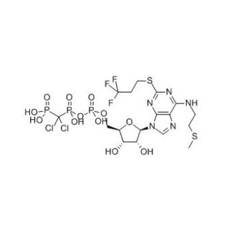 White Power P2Y12 Inhibitors Cangrelor 163706-06-7