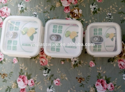 square glass lunch box for kitchen storage