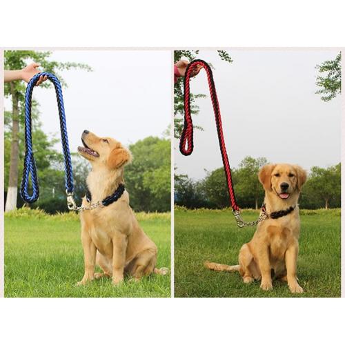 Dog Collar and Leash Set