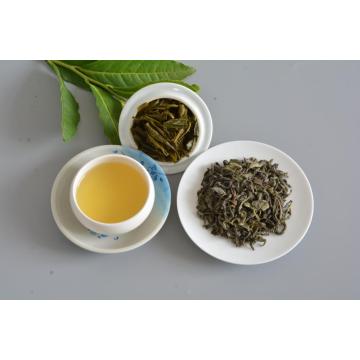 OP Import Green Tea Pricing High Quality Chinese