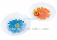 8 inch plastic microwave plate , pp dish