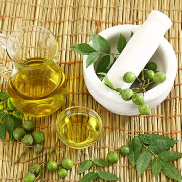 India Neem Seed Oil Chinaberry