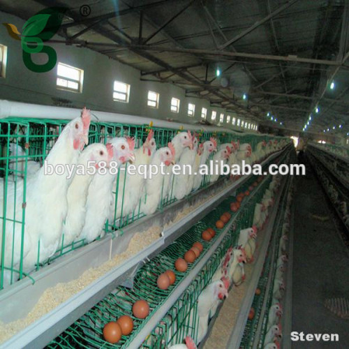 Supply hot sale used chicken farm poultry equipment / automatic chicken layer cage for sale in philippines