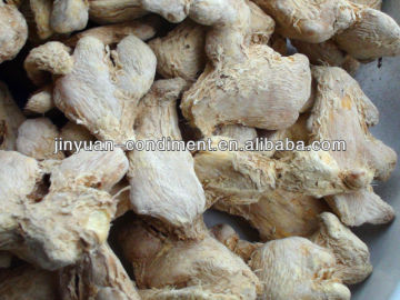 Dried Chinese Mature Ginger Pieces