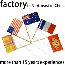 Toothpick Flag Pick with Customized Printing