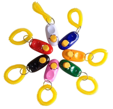 Effective Training Tools for Puppy or Cat