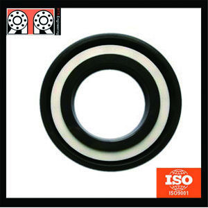 Chinses High Temperature Ceramic Bearing Custom