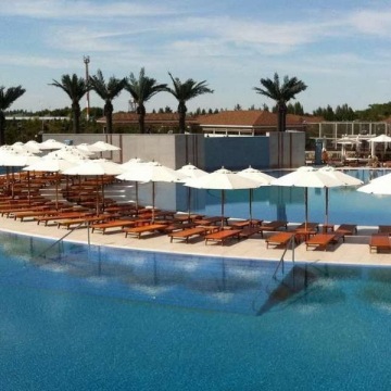 SJH149906 big artifiicial date palm tree plastic plam tree