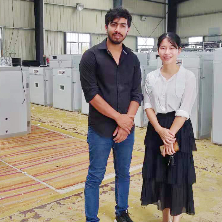 Automatic Farming Egg Incubator Chicken 1000 Egg Setter Haching Machine Incubator Equipment