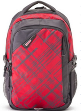 Promotional 600DPolyester Students Backpack