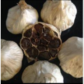 Natural Fermented Black Garlic In The Market