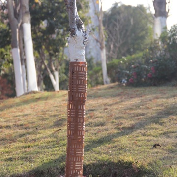 Protezione della corteccia della protezione dell&#39;albero della pianta del PE GIBBON