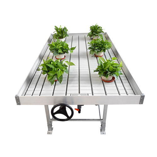 Skyplant Ebb Flow Rolling Bench di Rumah Kaca