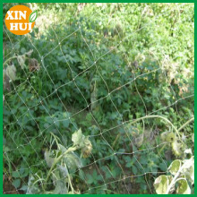 High Quality PE anti bird net that nets against birds