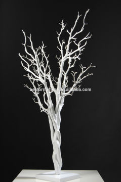 White Wedding Tree 'Wishing Tree Manzanita Tree