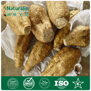 Quality Plant Estrogens Pueraria Isoflavones