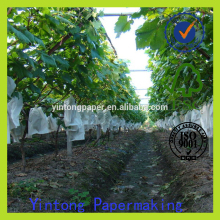 grape paper bag fruit growing paper bag