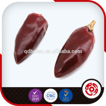 red chilli importers