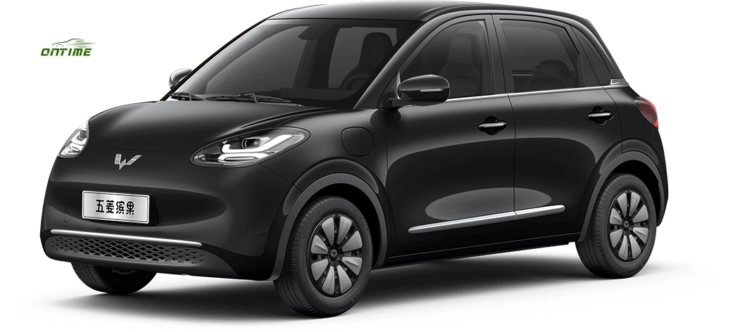 Mini Car Small Electric Vehicle Wholesale Cheap Price Made in China Electric Car Ontime Binguo