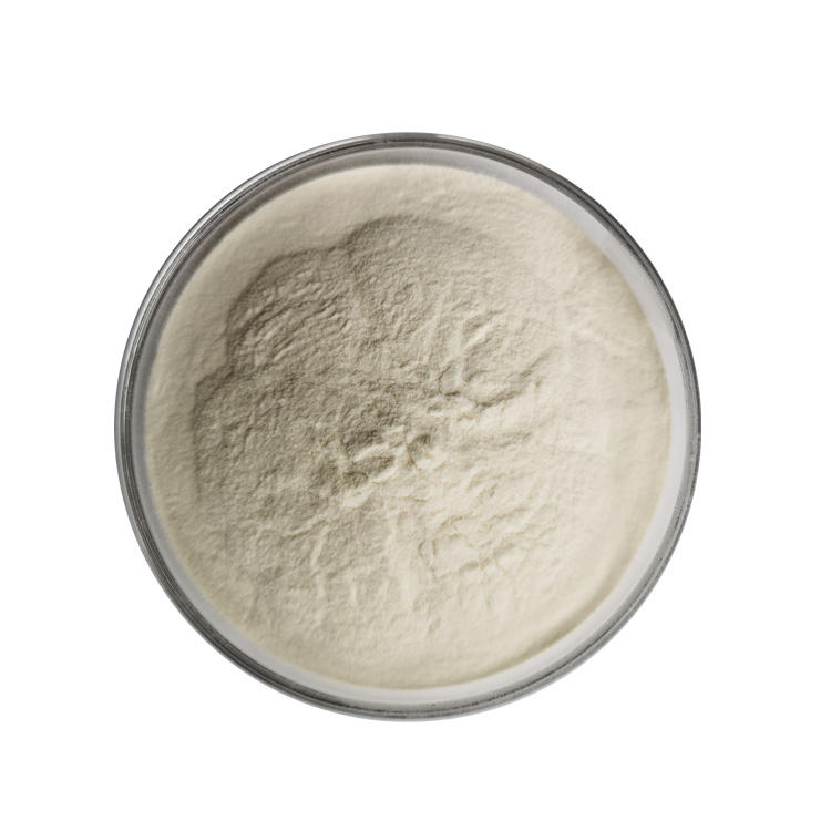 Good Price Coix Seed Extract Good Price Coix Seed Extract