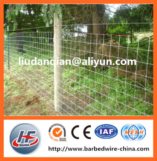 Wholesale hinge joint animal field fence