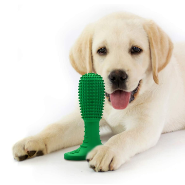 BPA Free Silicone Dog Chewing Toy tandborste leksak