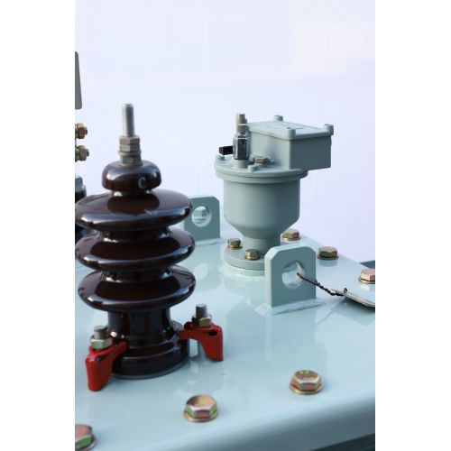 S13 Oil Immersed Type Transformer