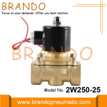 2W250-25 1 Inch Water Solenoid Valve 24V 220V