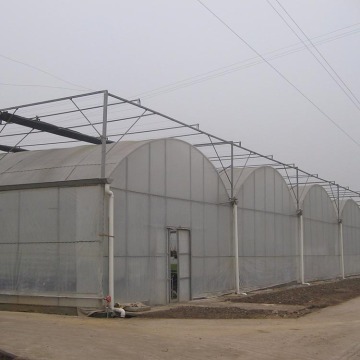 Agricultural Low Cost Plastic Film Covered Greenhouse