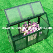 Mini Greenhouse for Young Plants (