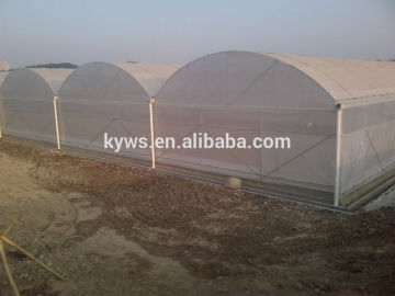 plastic film multi span agriculture greenhouse