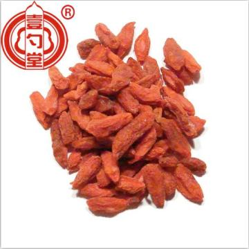 Αποξηραμένα διαιτητικά κόκκινα μούρα Ningxia Goji Berry