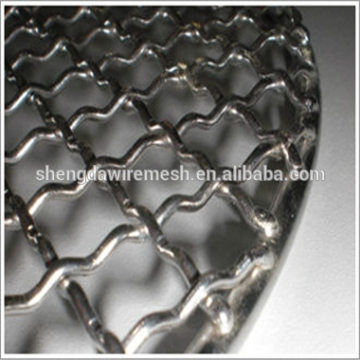 Beautiful Crimped Wire Mesh