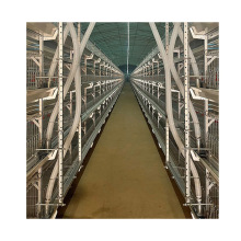 Philippine Automatic Baby Chick Brooder Cage