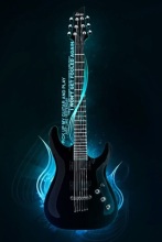 WWS43 Hardwood body guitar