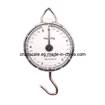 Salter Hanging Scale (ZZG-106)