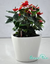 smart flower pots for artificial flowers