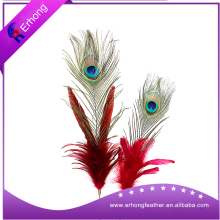 Factory Wholesale High Quality Big Eye Natural Peacock Feathers