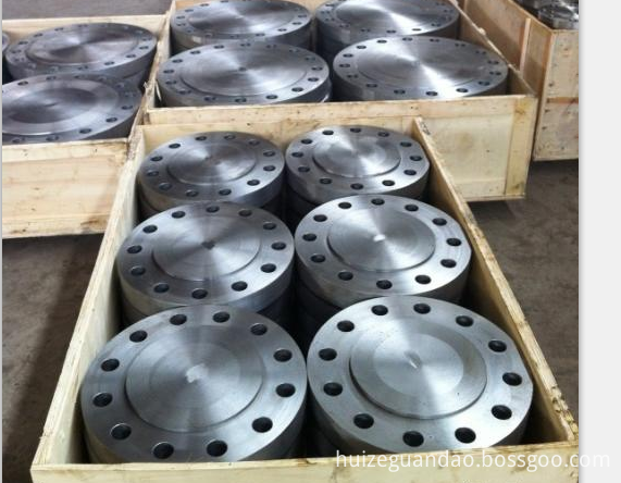 HZ stainless steel flanges 8 inch WN