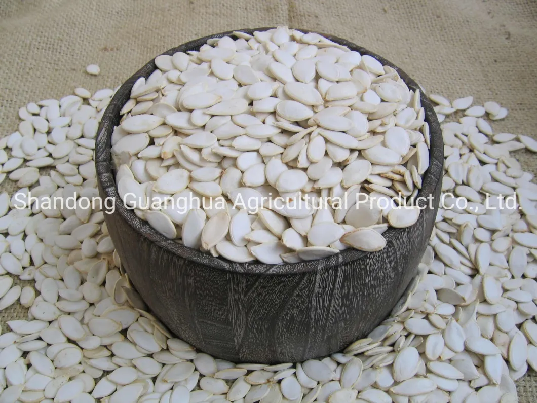 Best Quality Snow White Pumpkin Seeds