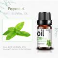 OEM ODM Peppermint al por mayor Peppermint Purify Purify Air