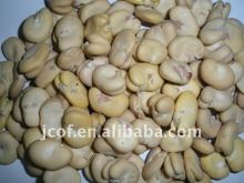 PEELED BROAD BEANS WHOLE GRAIN(656)